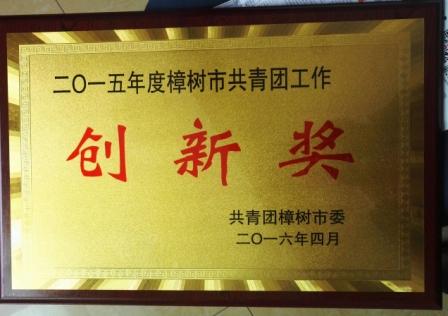 為“五四”喝彩，向青春致敬——集團團委獲2015年度樟樹市共青團工作創(chuàng)新獎